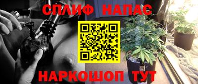 дмт Пушкино