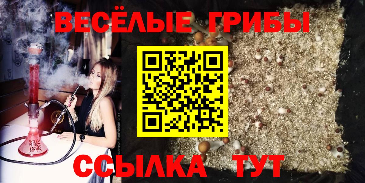 Псков  где купить наркоту  Вход с VPN  Галлюциногенные грибы прущие грибы 