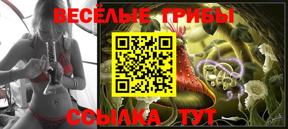 Галлюциногенные грибы мухоморы Псков